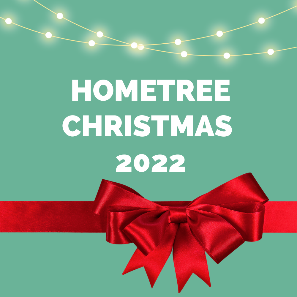 HomeTree Christmas Night